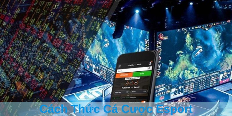 Cách Thức Cá Cược Esport