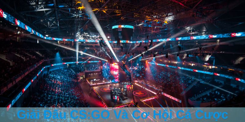 Giải Đấu CS:GO Và Cơ Hội Cá Cược