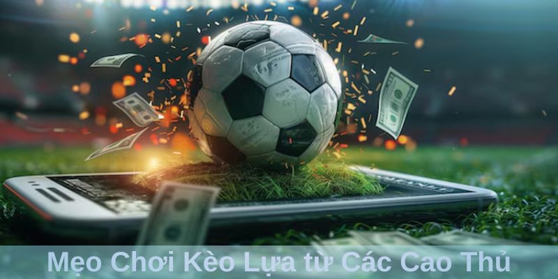 Mẹo Chơi Kèo Lựa từ Các Cao Thủ