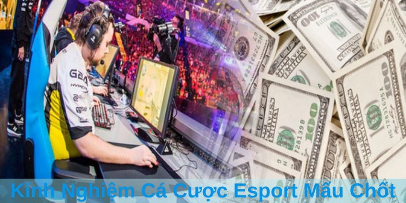 Kinh Nghiệm Cá Cược Esport Mấu Chốt